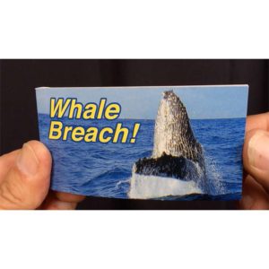 Daumenkino Whale Breach